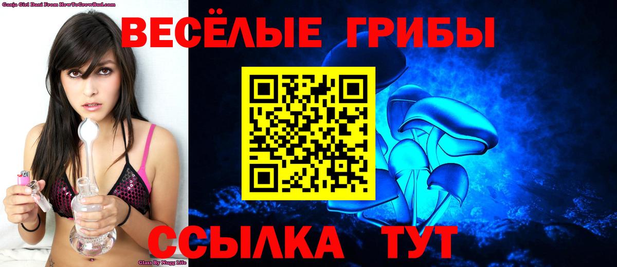Псилоцибиновые грибы Psilocybe Нововоронеж